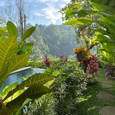 The Sidemen Villa Sidemen (Bali) Exterior foto